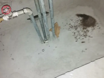 吉首卫生间测漏水价格明细