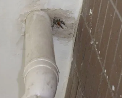 吉首漏水检测哪家好